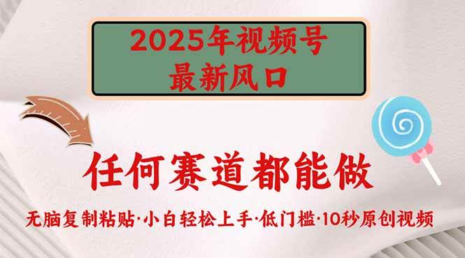 （14453期）2025年视频号新风口，低门槛只需要无脑执行网赚项目-副业赚钱-互联网创业-资源整合时鹿网赚